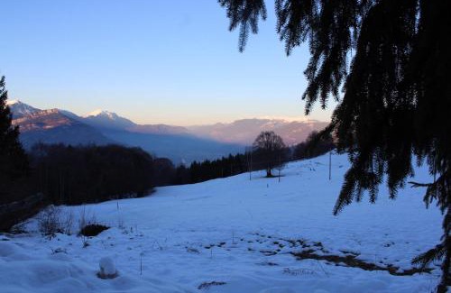 Polsa Appartement | Residenza il bosco
