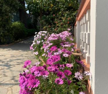 Savona Appartement | Resort Dependance di Villa Rosa Maria