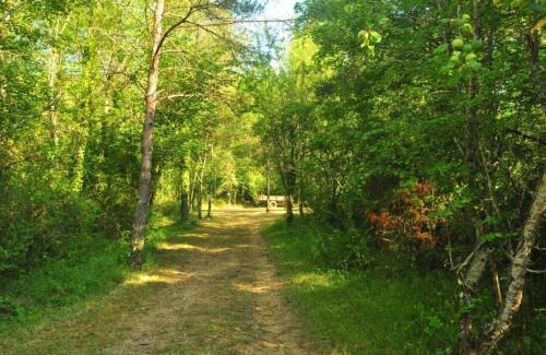 Montagut Autre | Respira Glamping Alta Garrotxa