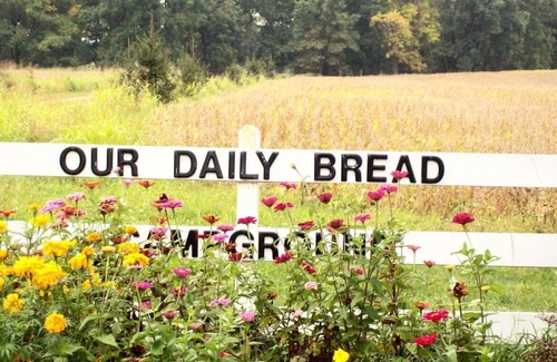 Marcellus Cabine | Rest & Relaxation