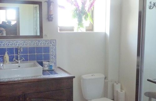 Roeze-sur-Sarthe Maison | Restored family manor - Great Room and its private bathroom