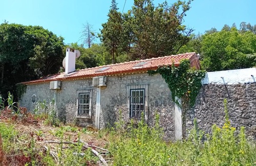 Almoster Maison | Retiro d'Azenha