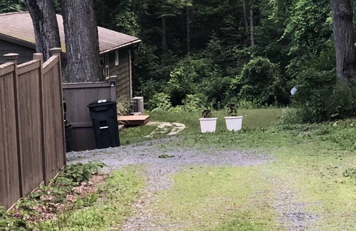 Trumansburg Maison | Cadre de retraite