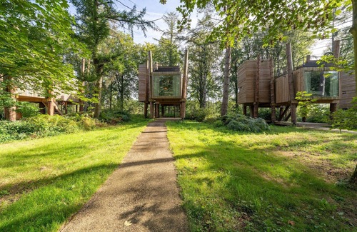Maubray Maison | Lodge dans les arbres Belvilla avec terrasse