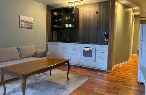 Engen Appartement | Retro Apartment