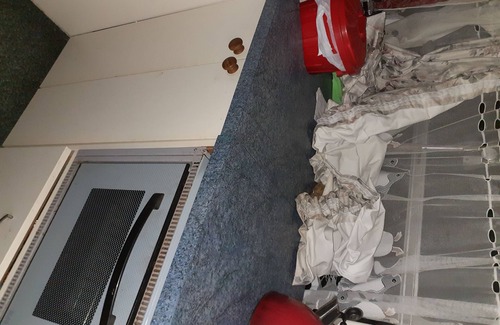 Waikanae Maison | retro housebus love