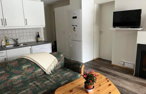 Vang Appartement | Rett ved Raudalen Alpinanlegg