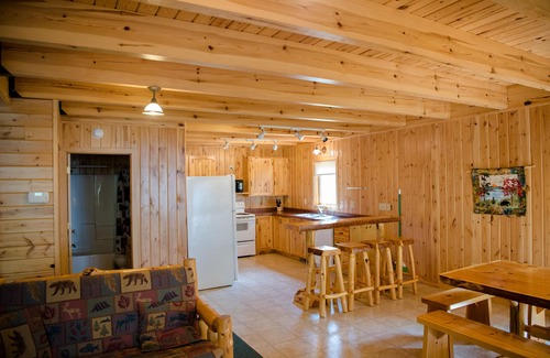 Park Rapids Cabine | Cabine Réunion avec mezzanine et moustiquaire au complexe