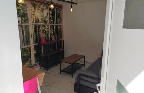 Abrest Appartement | Reve de Panda avec Sauna et Jacuzzi Privatif