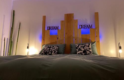 Abrest Appartement | Reve de Panda avec Sauna et Jacuzzi Privatif