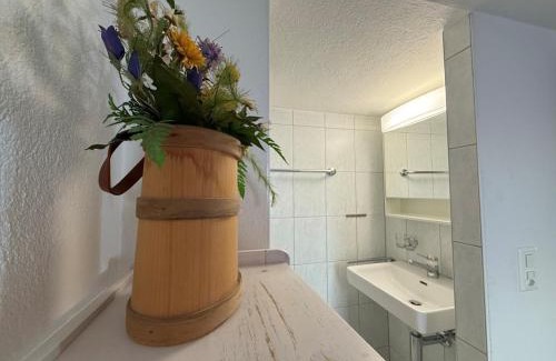 Schwanden Appartement | Revier beim Dorfbrunnen