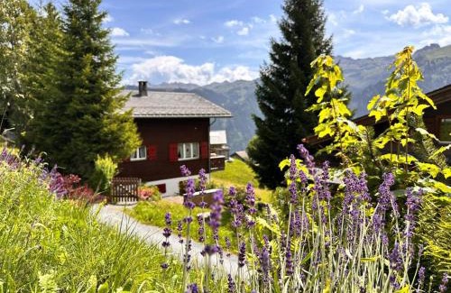 Braunwald Maison | Revier mon désir