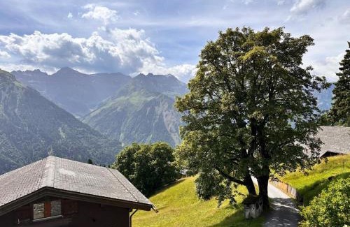 Braunwald Maison | Revier mon désir