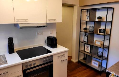 Vallendar Appartement | Rhein Apartment Souterrain Study