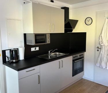 Oberwesel Appartement | RheinSchatz Apartments 1