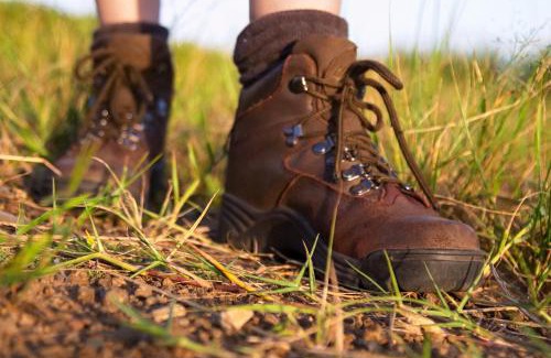 Kruger National Park Maison | Rhino Walking Safaris