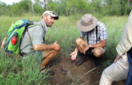 Kruger National Park Maison | Rhino Walking Safaris