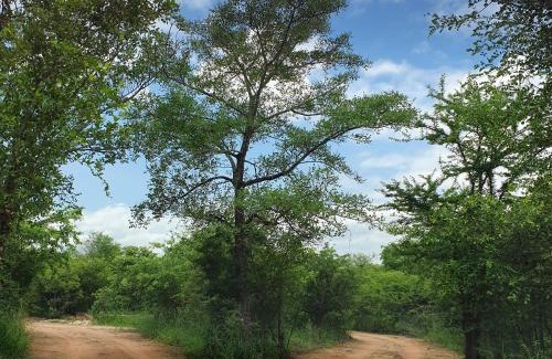 Ha-Lambani Cabine | Rhumbini Lodge