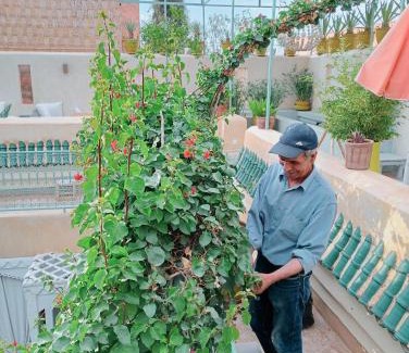 Medina Maison | Riad Chambres D'Amis Marrakech