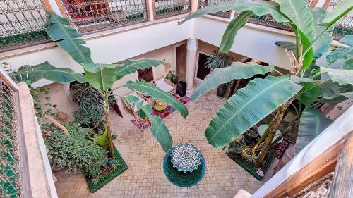 Medina Maison | Riad Chambres D'Amis Marrakech