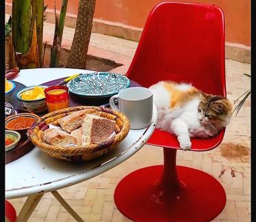 Medina Lit Et Petit-Déjeuner | Riad Dar Dayana
