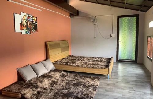 Buon Ma Thuot Maison | ribin's home
