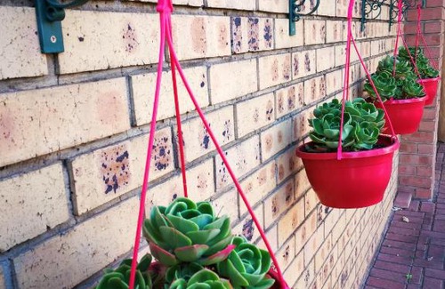 Middelburg Maison | Ridderspoor Guesthouse