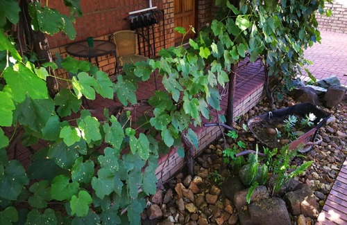 Middelburg Maison | Ridderspoor Guesthouse