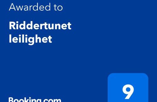 Beitostolen Appartement | Riddertunet apartment 101
