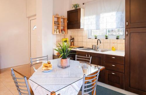 Pigadia Appartement | Ridomo Canyon Apartment