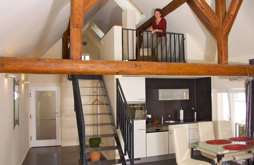 Billigheim-Ingenheim Appartement | Apartamento Riesling *** - Winzerhof en la picadura de piedra