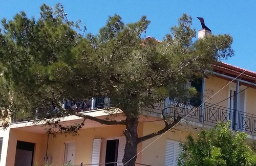 Kaminarata Appartement | APPARTEMENT RIFI PINE A KEFALONIA