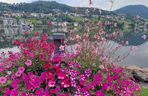 Baselga di Pine Appartement | Riflessi sul lago