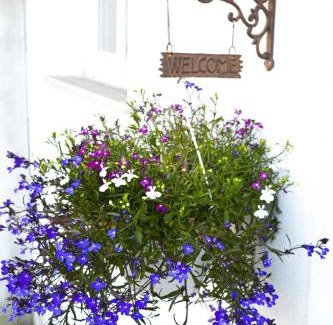 Cicerale Appartement | Rigoletto Cilento with private garden and pool