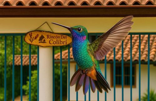 La Vega Maison | Rincón del colibrí/casa campestre/piscina/la vega