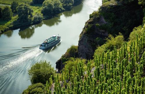 Alf Hôtel | Ringhotel Bömers Mosel Landhotel