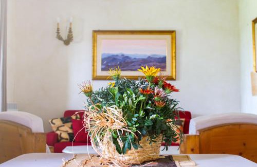 Sovicille Maison | Rinidia Bio