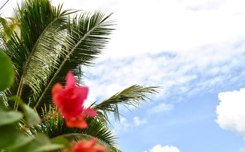 Selong Belanak Maison | Ripbowl Guest House