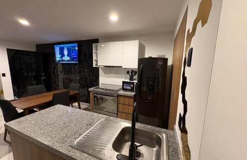 Queretaro Appartement | Riscos Suite Loft