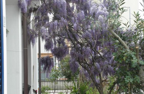 Giulianova Appartement | RITA'S ROOM ON THE SEA