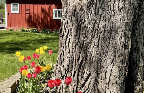 Rockton Maison | River House in historic Rockton, IL