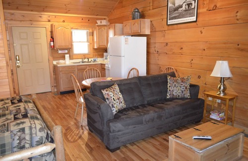 Damascus Cabine | River Trail Cabin # 1 Log Cabin sur le Creeper Trail et Laurel Creek