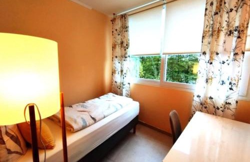 Hainburg Appartement | RIVER VIEW NEAR FRANKFURT - 3 ROOMS-4 BEDS & 1 SOFA BED -AIR CONDITION- Private PARKING