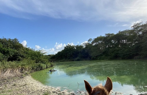 Orange Walk Maison | Riverlodge at The Mayan Garden