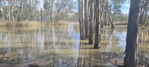 Paringa Maison | Riversands Rest Accommodation Paringa - River Box Cottage