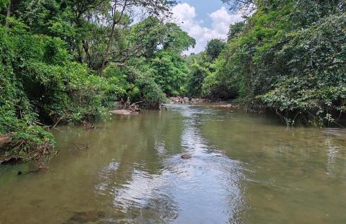 Dambulla Maison | Riverside Farm Stay