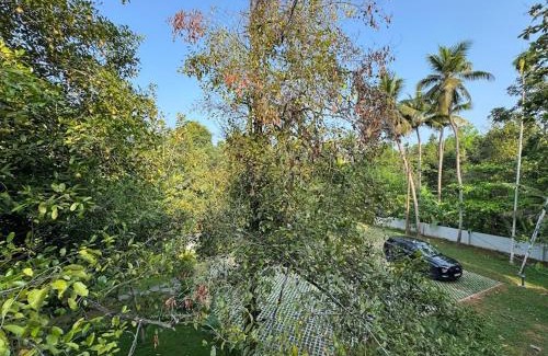 Denkanikota Maison | Riverside Private Pool Villa in Kochi - Ohstayz Whispering Grove