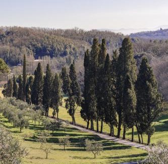 Pistoia Lit Et Petit-Déjeuner | Rivo della Corte