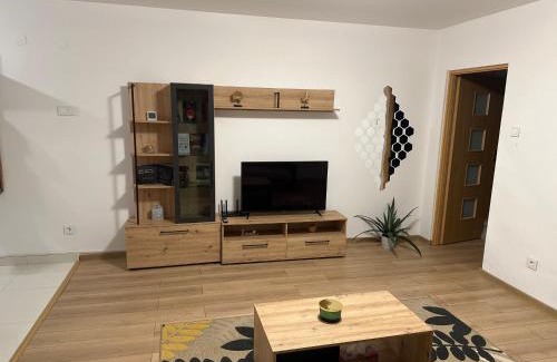Bistrita Appartement | Robert's Apartment