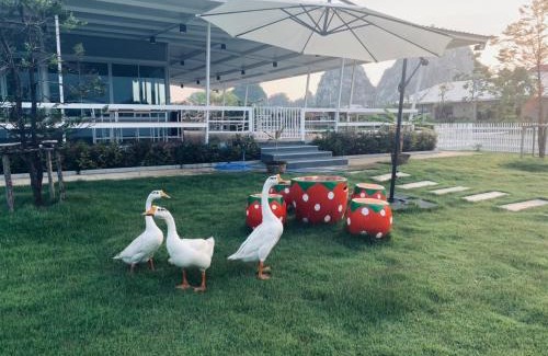Ratchaburi Hôtel | Rock Resort Ratchaburi